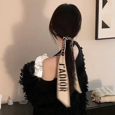 监察局长
